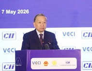 Vietnamese Party, State leader attends India–Vietnam Business Forum in Mumbai